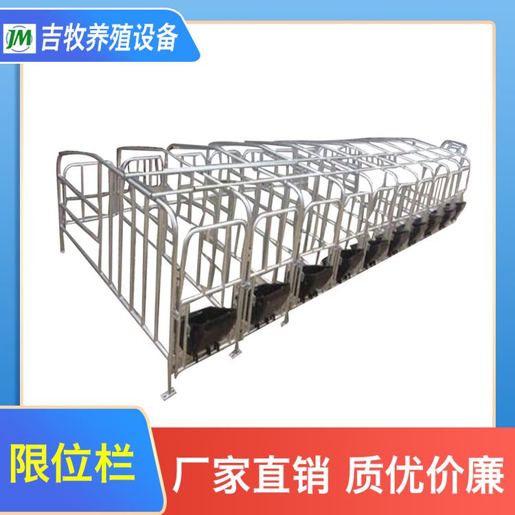 吉牧养殖设备 限位栏 限位栏养殖场母猪定位栏