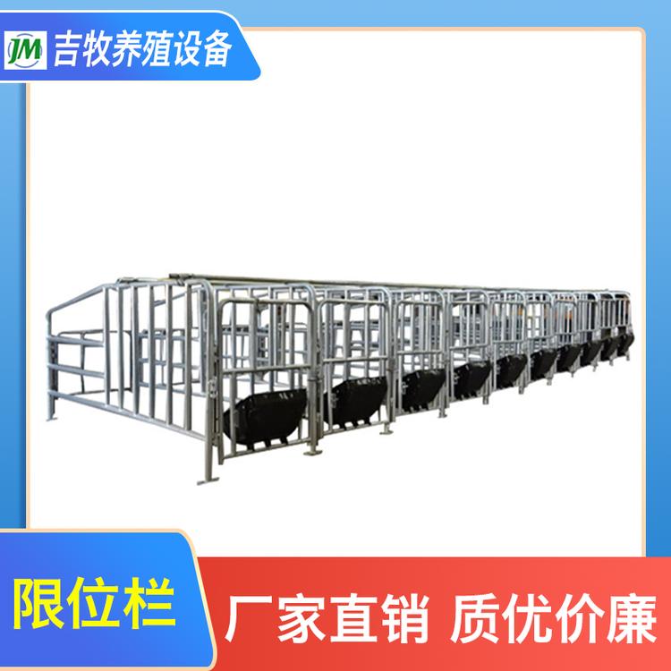 吉牧养殖设备 限位栏 供应养殖设备母猪定位栏猪用