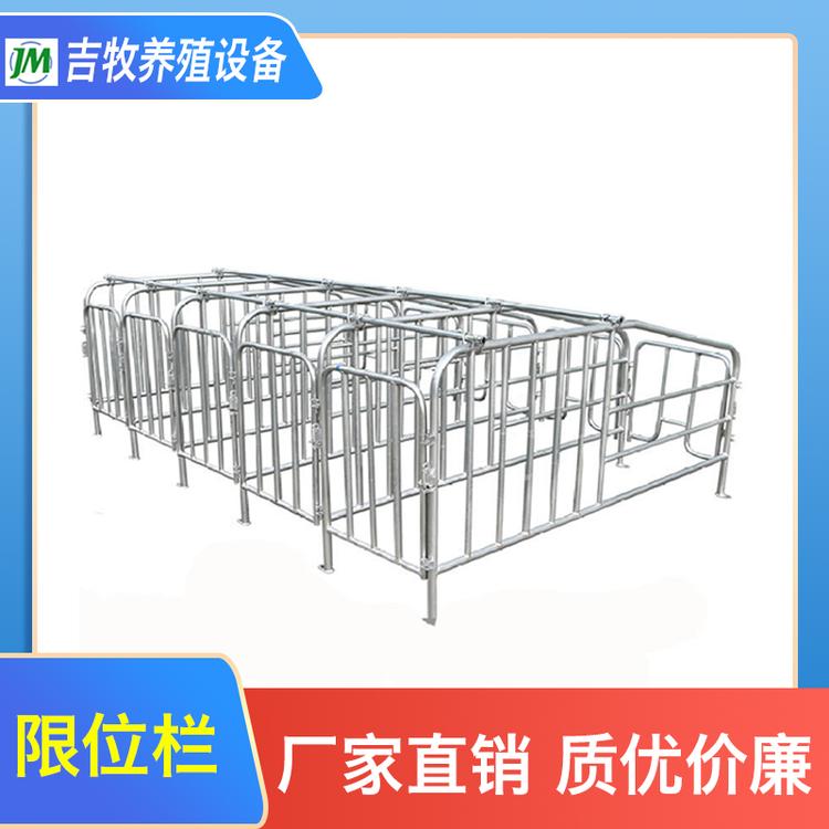 吉牧养殖设备 限位栏 带食槽限位栏 猪场养猪设备定位栏