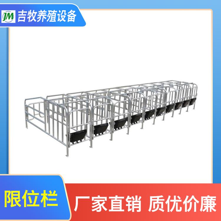 吉牧养殖设备 限位栏 厂家供应母猪限位栏猪用定位栏
