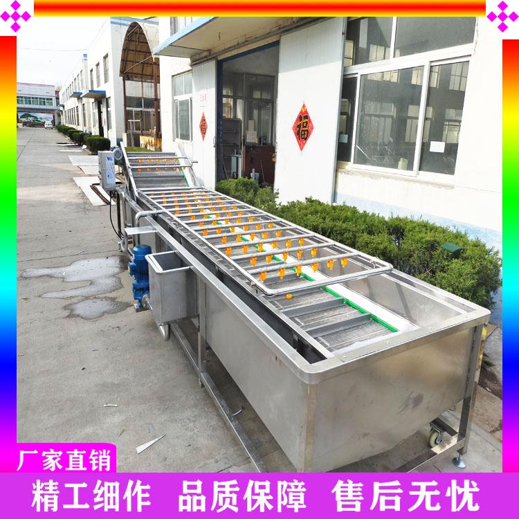 连续式山楂气泡清洗机 全自动大型洗水果机器 葡萄苹果气浴清洗机 秋葵加工生产线