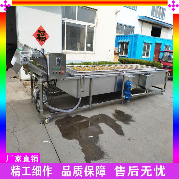 全自动枇杷果清洗机流水线 气泡鼓浪式沙棘果清洗机 气泡喷淋式山楂黄桃清洗机生产厂家