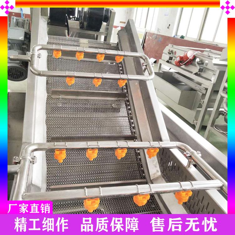 气泡式菩提子清洗机 葡萄干清洗风干沥水机 喷淋式气泡蔬菜清洗机洗菜机