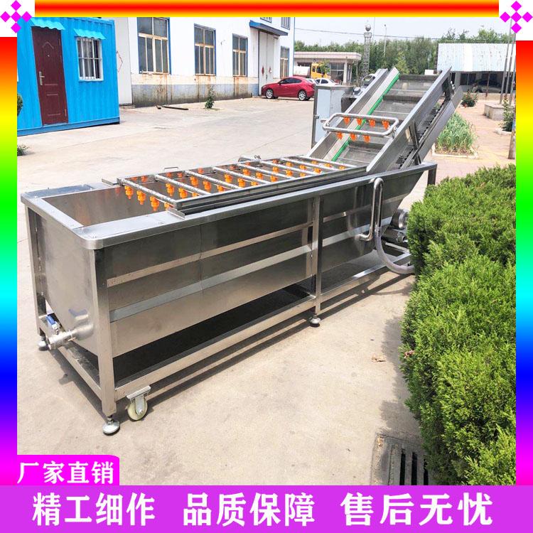 多功能铁棍山药清洗机 水果提升气泡清洗风干线 葡萄去药残臭氧杀菌机 小河虾清洗机