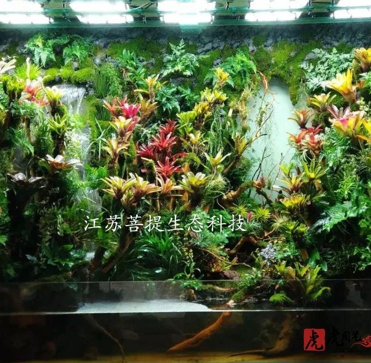 厦门水陆景观设计 厦门人工热带雨林制作 雨林景观制作公司 水陆造景