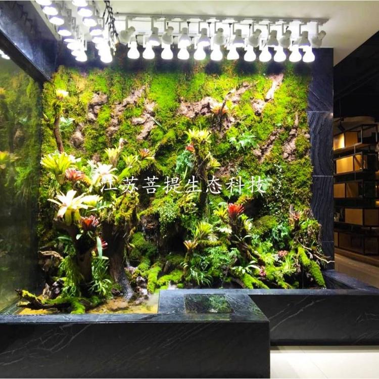 苏州雨林景观设计公司  苔藓墙 水陆景观  水陆缸设计  雨林缸制作
