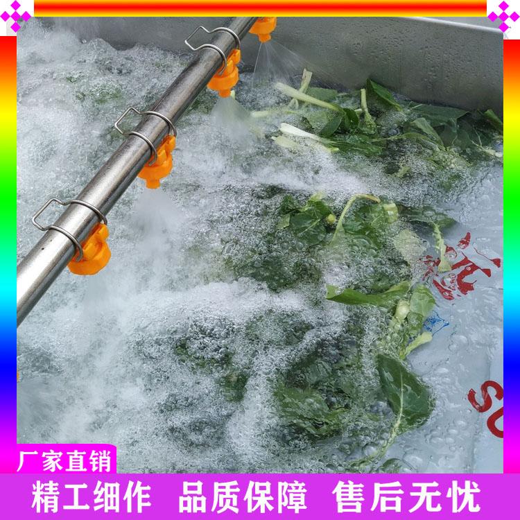 鼓泡式气泡清洗机 多功能喷淋式水果蔬菜清洗机 叶类青菜去泥去杂清洗机 葡萄清洗机设备厂家