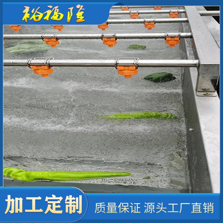 供应蔬菜气泡清洗机 多功能叶菜类果蔬清洗机 厂家定制