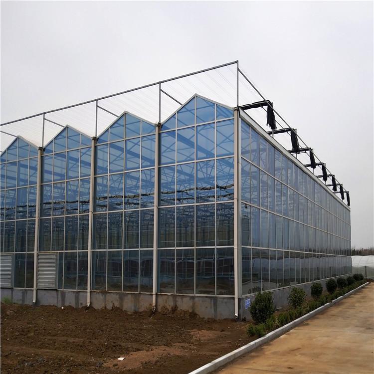 阳光板温室大棚报价 温室大棚建设