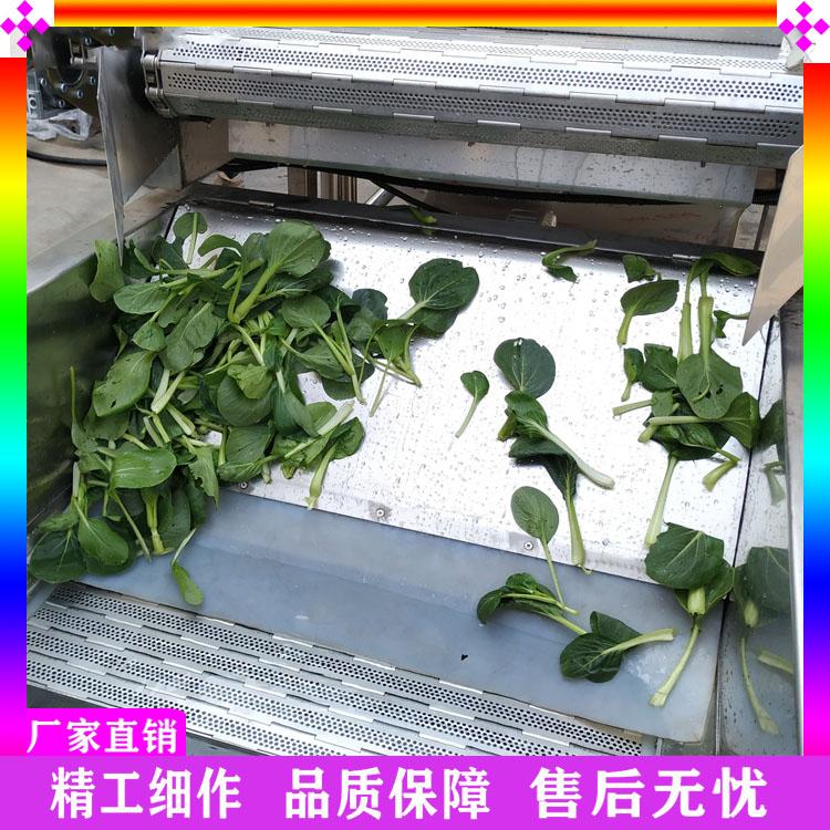 五味子气泡喷淋清洗机 油菜地菜鼓泡清洗机 大枣枸杞清洗风干沥水生产线