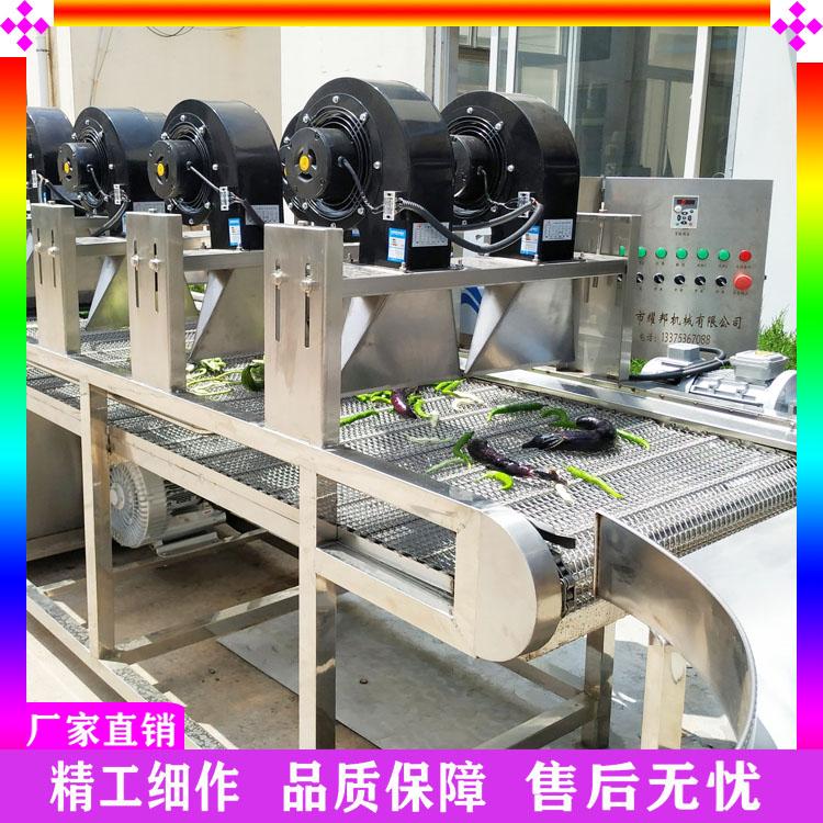 百香果气泡喷淋清洗机 鸡蛋果高压喷淋清洗机 毛豆花生清洗设备 不锈钢菌类赤松茸清洗机