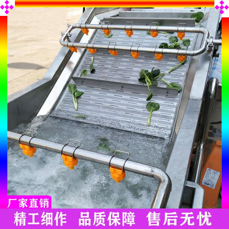 厂家直销赤松茸清洗机 全自动菌菇类气泡清洗机 多功能臭氧消毒洗菜机