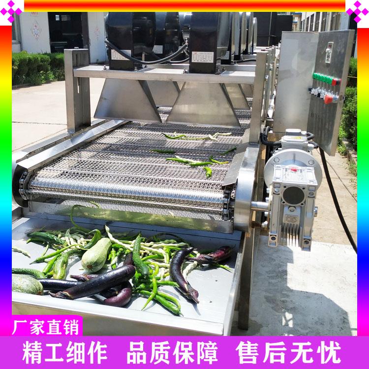 专业生产长裙竹荪清洗机 食用菌类专用加工设备 薄荷叶气泡清洗机 茶树菇清洗流水线
