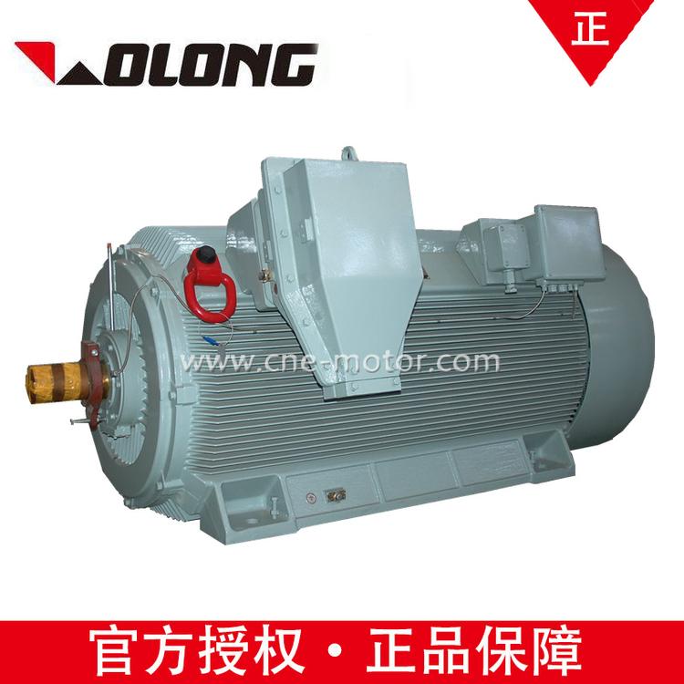 YX3-5604-10 1000KW高压10kv/法兰安装WOLONG南阳防爆防爆电动机水泵
