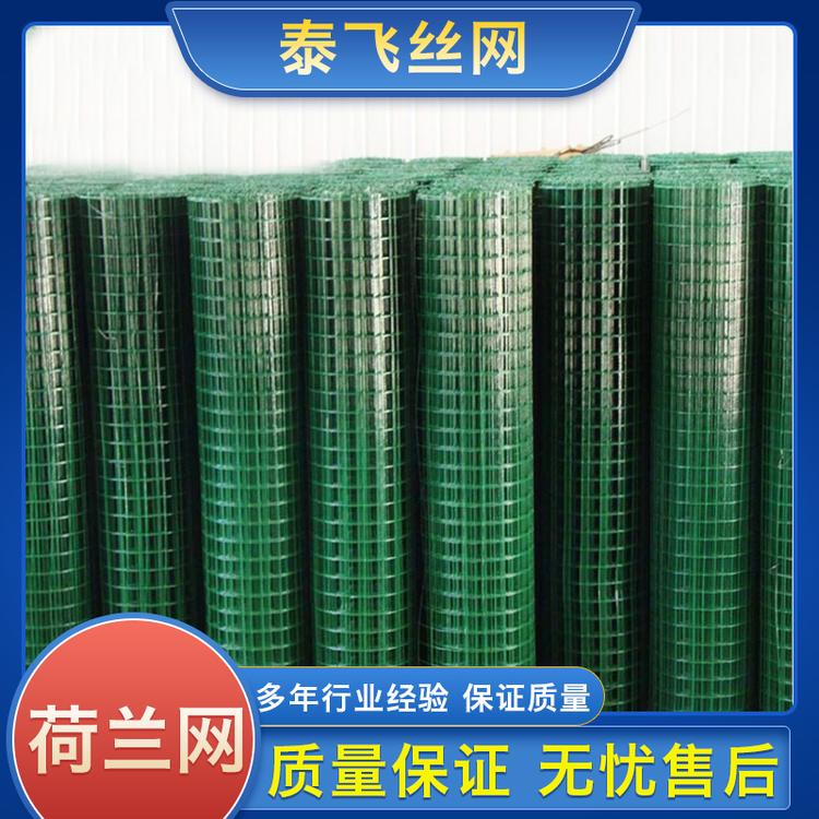 泰飞丝网 荷兰网 支持定制 绿色荷兰网