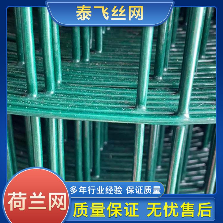 泰飞丝网 荷兰网 草绿色养殖养鸡铁丝网围栏