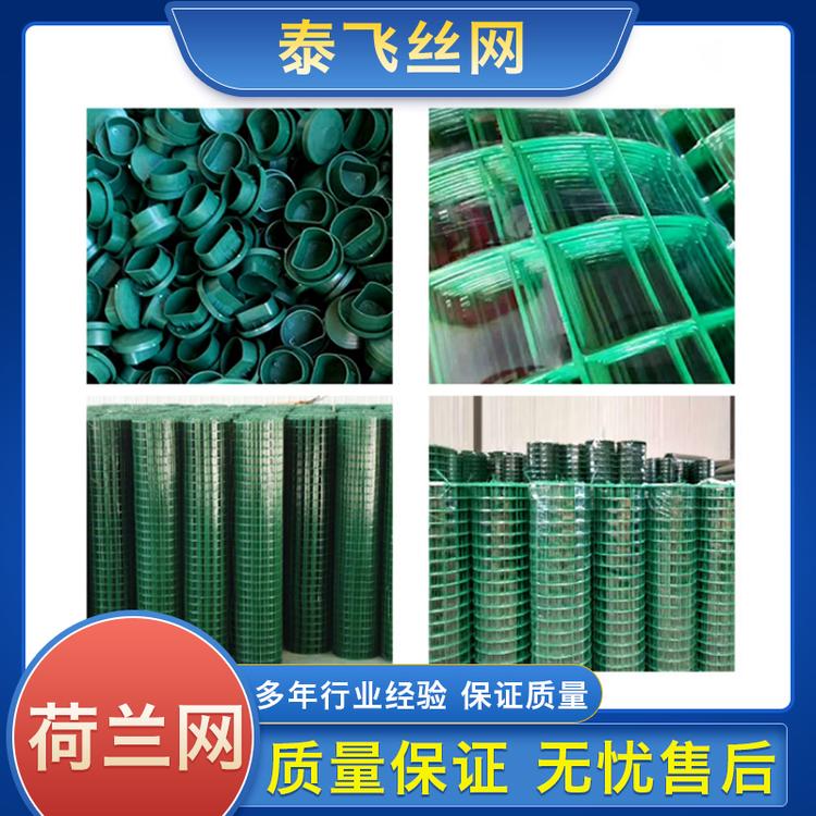 泰飞丝网 荷兰网 浸塑荷兰网 圈地养殖围栏 家畜养殖围栏网
