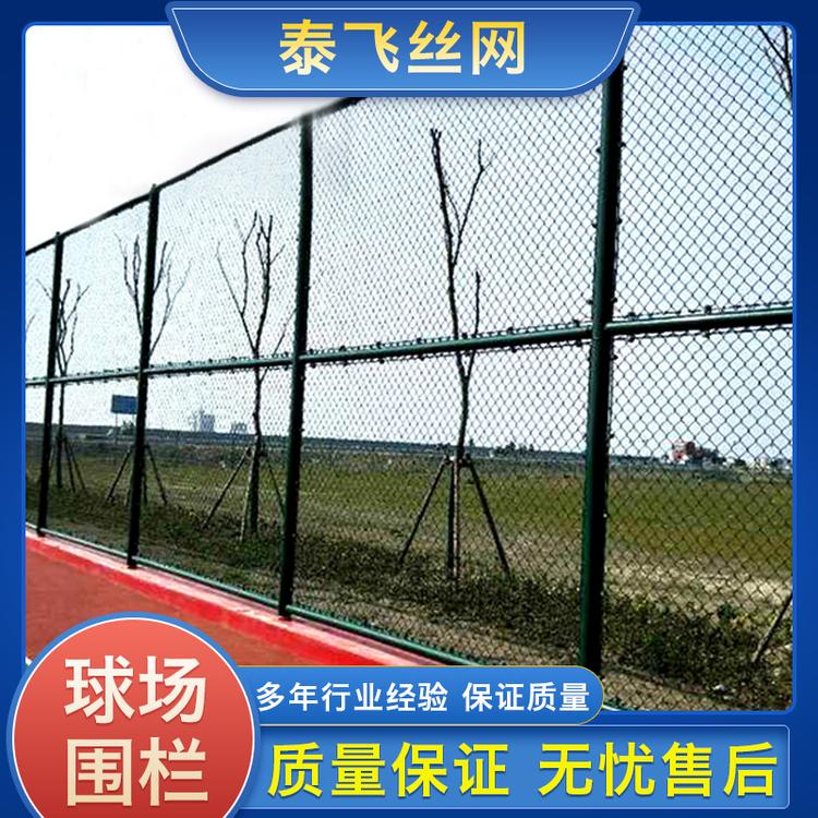 泰飞丝网 球场围栏 养鸡养鸭热镀锌围栏网