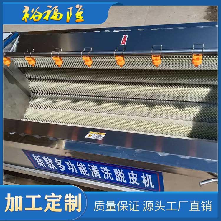 出售大姜毛辊清洗机价格 猪头毛刷清洗机 欢迎定制