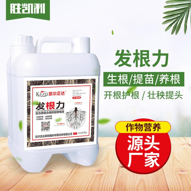 凯尔正达 发根力复合菌发酵母液肥液体菌肥 作物生根养根肥料