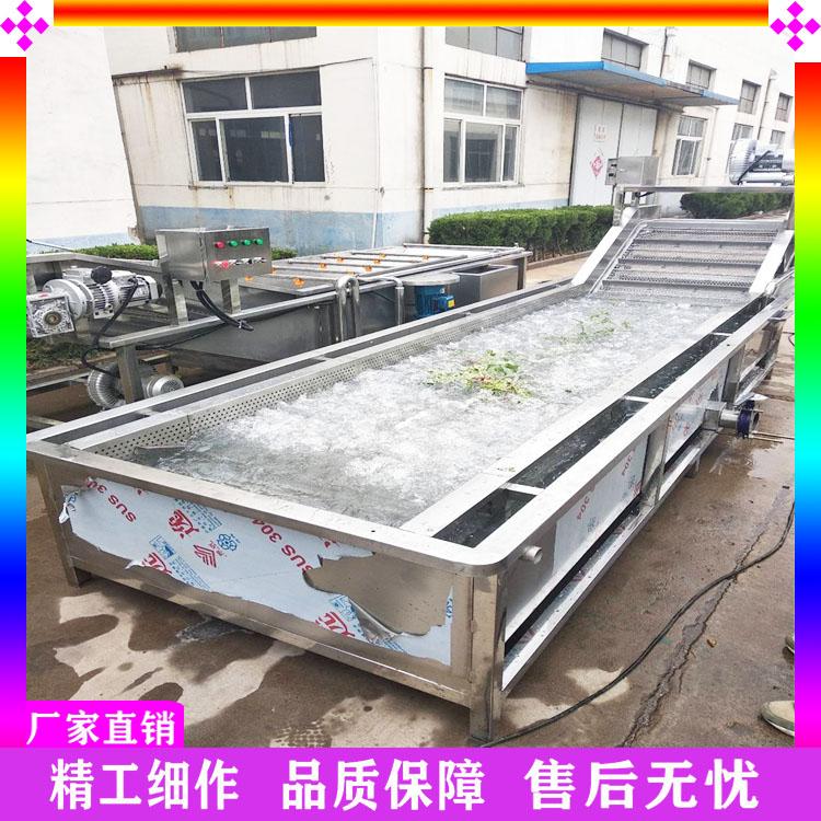 香菇柔性清洗机 菌菇类全自动清洗机 猴头菇清洗线定制 秀珍菇连续式清洗设备