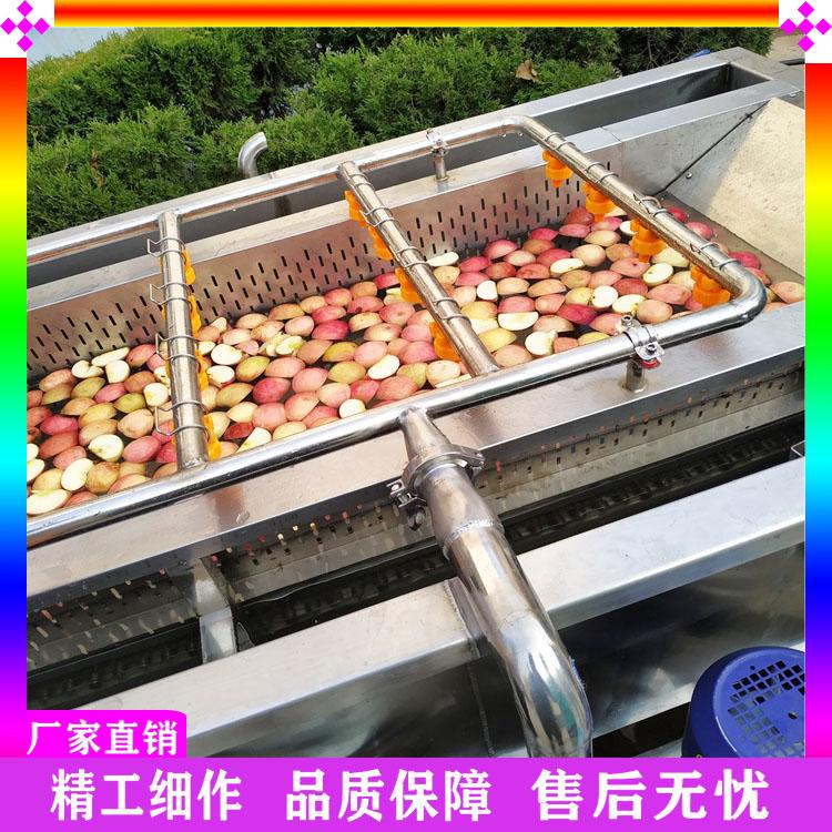 蘑菇菌类清洗机 蔬菜杀青机 香菇柔性清洗机 水果蔬菜清洗线 鲜姜去泥去污设备