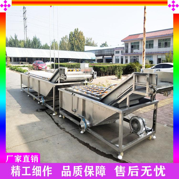 龙须菜裙带菜蔬菜清洗机 猴头菇清洗线 木耳银耳气泡清洗机 多功能蔬菜清洗设备