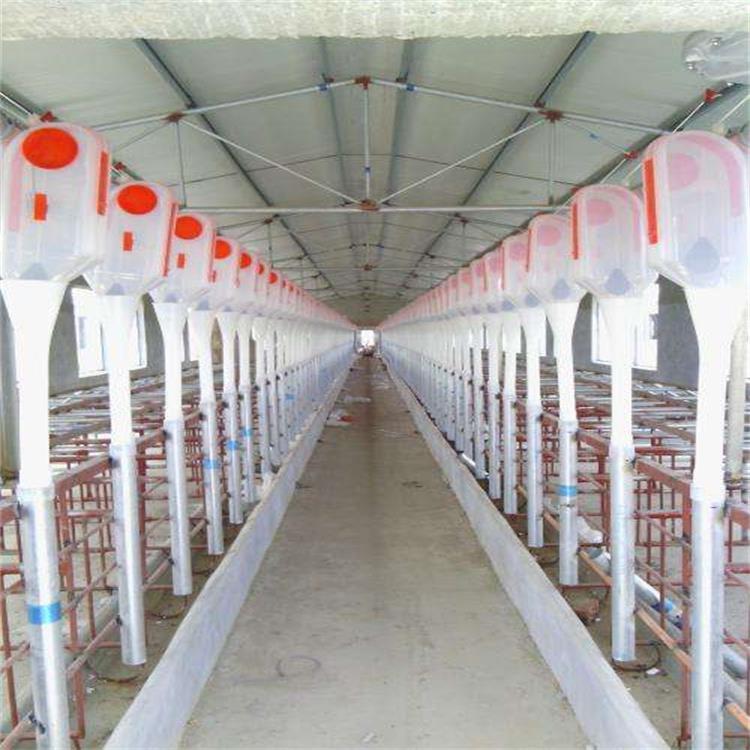全自动喂料线     养殖场用喂料线     性能稳定