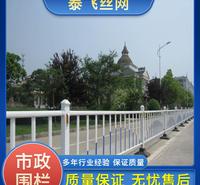 泰飞丝网  市政护栏 城市安全围栏京式护栏批发