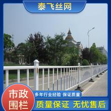 泰飞丝网  市政护栏 城市安全围栏京式护栏批发