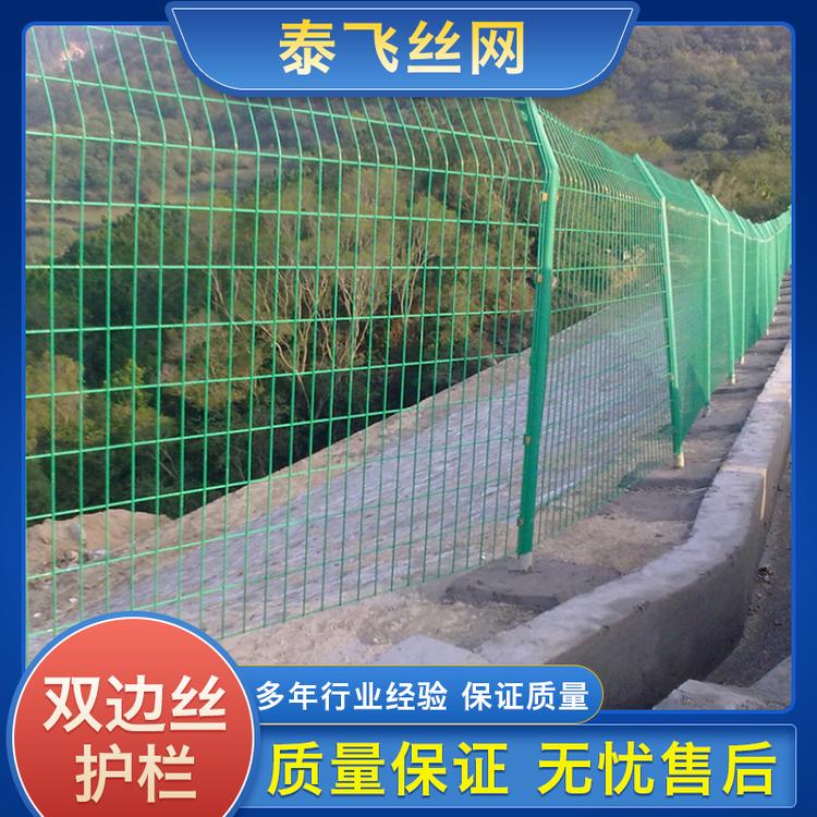 泰飞丝网双边丝护网 双边丝护网 框架围栏网销售