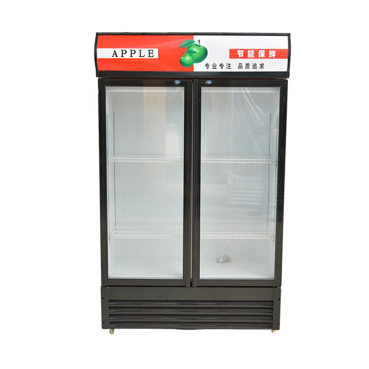商用双门冷藏展示柜 啤酒柜 双门饮料柜 啤酒展示柜龙飞