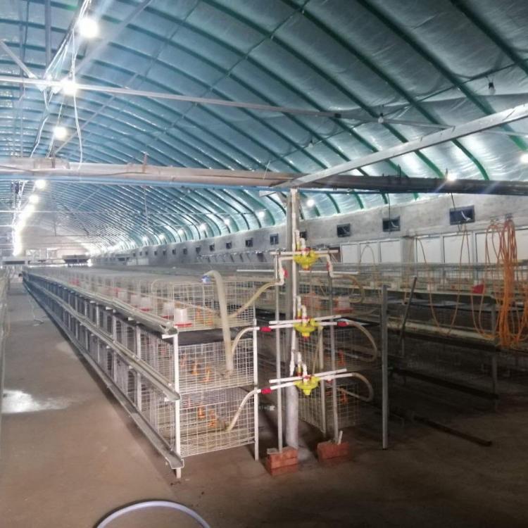 永金牌热镀锌椭圆管大棚养殖肉鸡肉鸭  肉牛羊 水产养殖