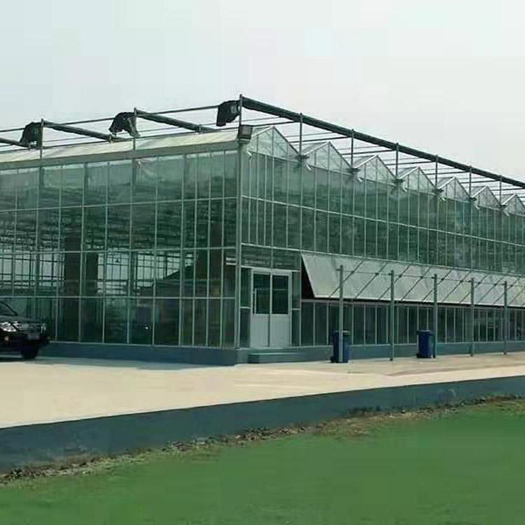 玻璃大棚建设  玻璃大棚出厂价直销 欢迎咨询