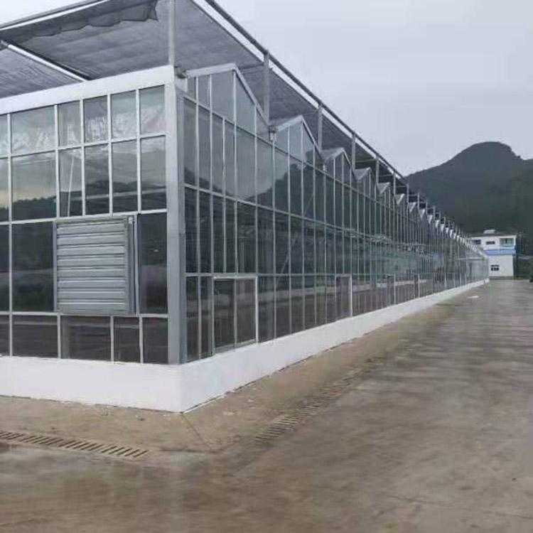 定制  玻璃大棚  玻璃大棚价格 按需定制