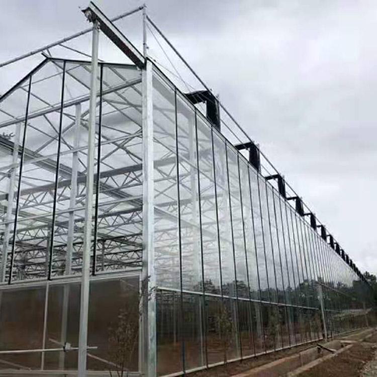 山东免费设计  玻璃大棚建设  玻璃大棚建设报价 欢迎致电详谈