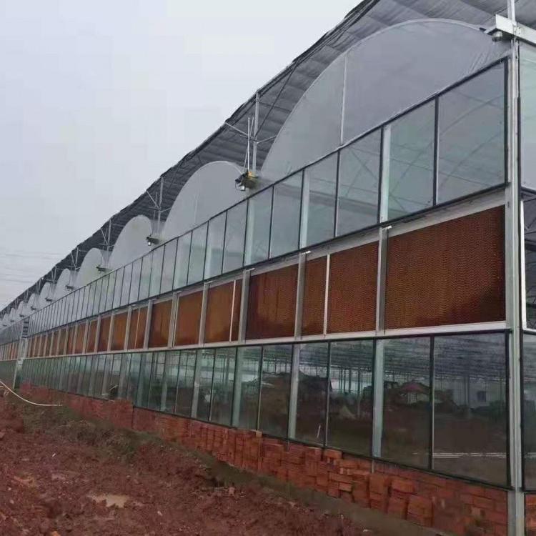 免费设计阳光板温室建设  阳光板温室建设造价【致电详谈】