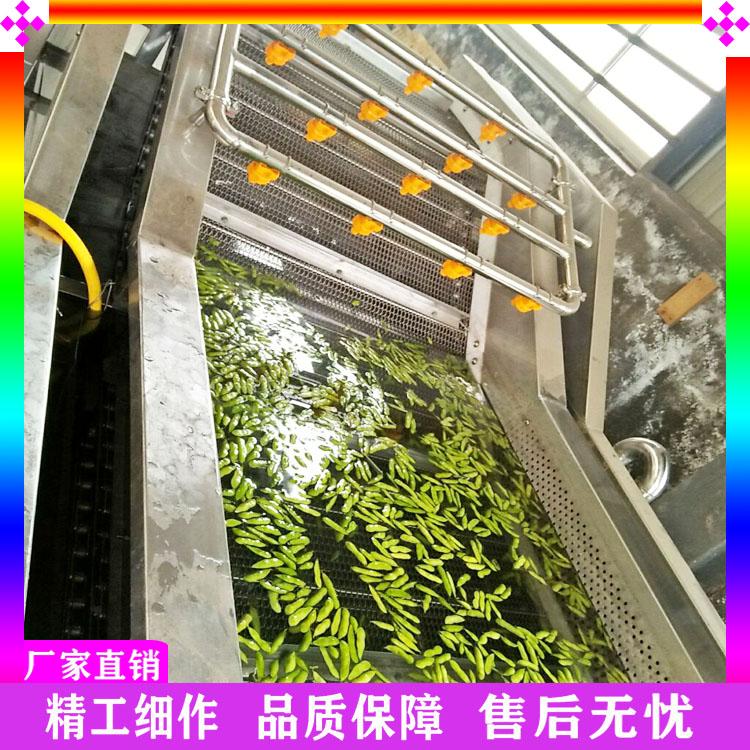 多功能净菜清洗机 不锈钢水果蔬菜清洗机 大枣枸杞清洗机 水果气泡喷淋洗菜机