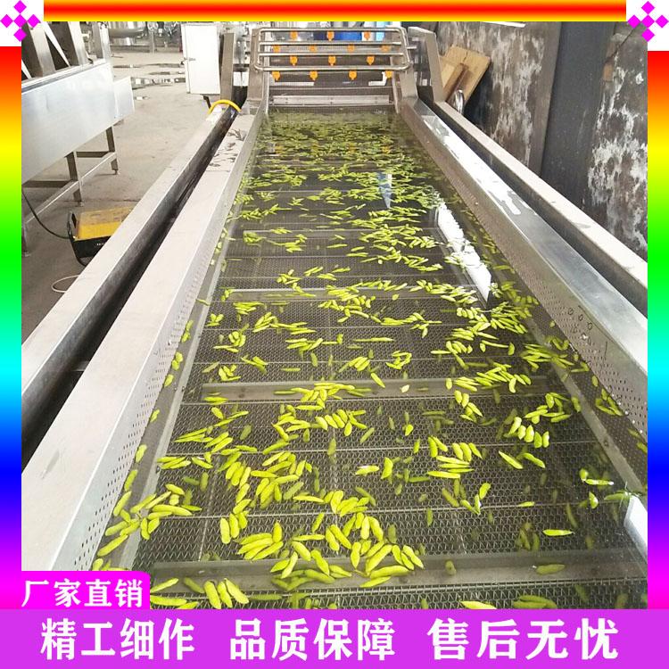 绿叶蔬菜气泡清洗机 高压喷淋气泡清洗机 白菜菠菜毛豆清洗机 喷淋式草莓辣椒清洗机