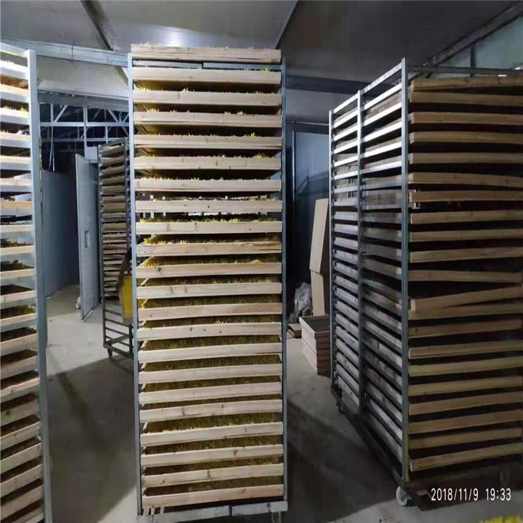核桃烘干机 空气能核桃烘干机 大型热泵烘干设备 省电快速