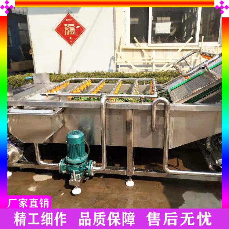 多功能海带气泡清洗机 蔬菜深加工成套设备 蔬菜去杂机 黄花菜清洗漂烫预煮线