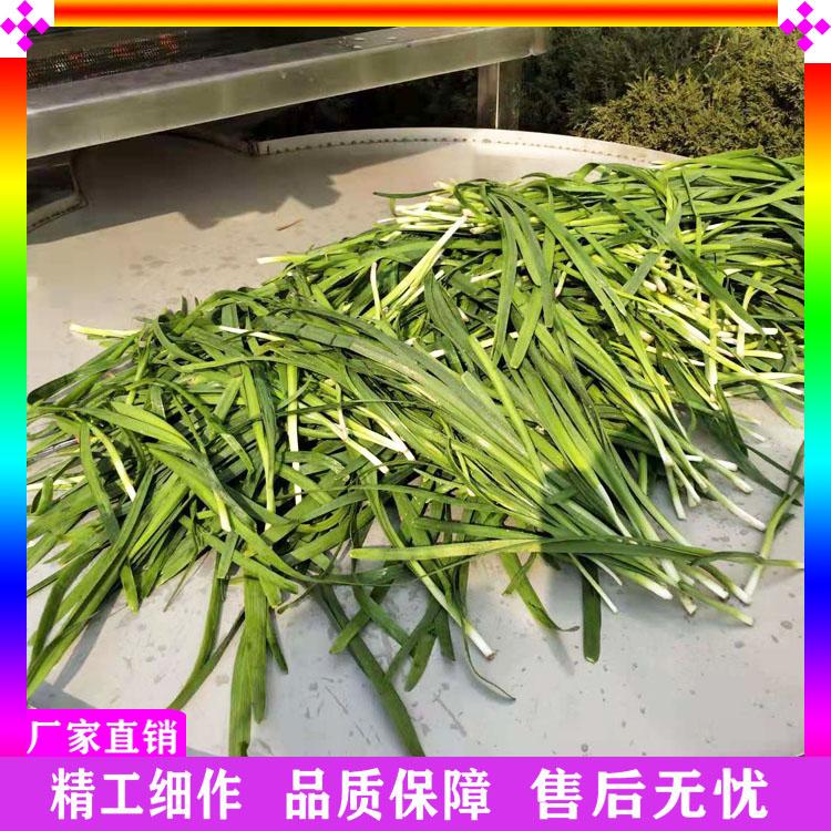 供应叶菜青菜气泡清洗机 西蓝花清洗机 净菜加工流水线 全自动果蔬气泡清洗机