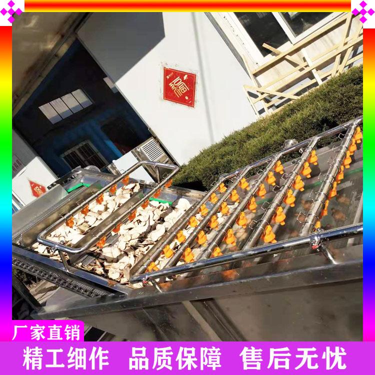 供应山楂气泡清洗机 苹果梨清洗设备 果脯去泥沙清洗机 芦荟喷淋气泡清洗机厂家直销