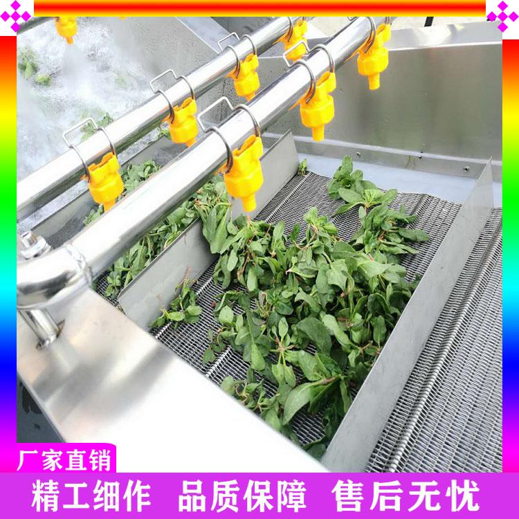 连续式山楂蔬菜清洗机 洗山楂土豆片藕片清洗机 全自动生产线 果蔬清洗加工设备