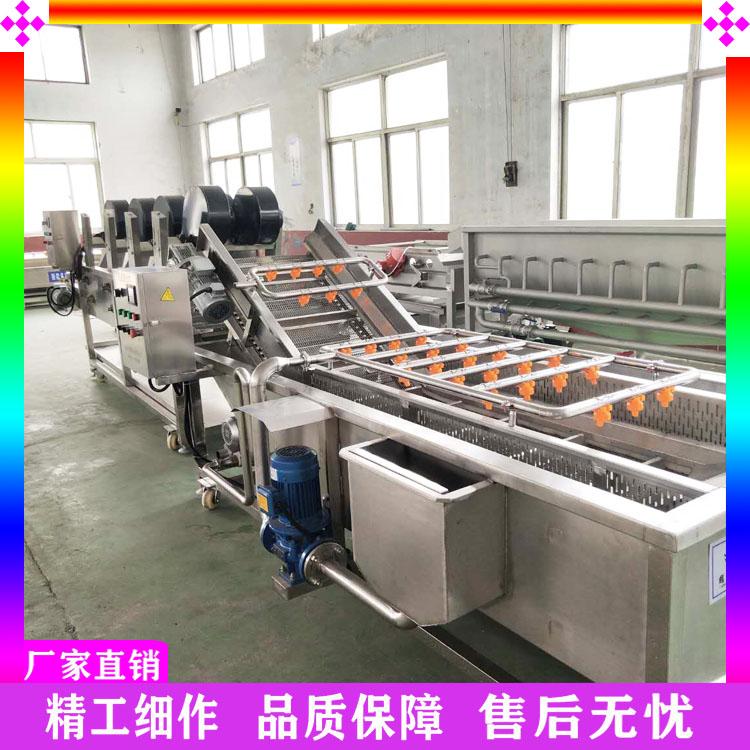 按需定制果蔬清洗加工风干线 油麦菜清洗机 不锈钢果蔬清洗机 自动喷淋气泡翻滚洗菜机