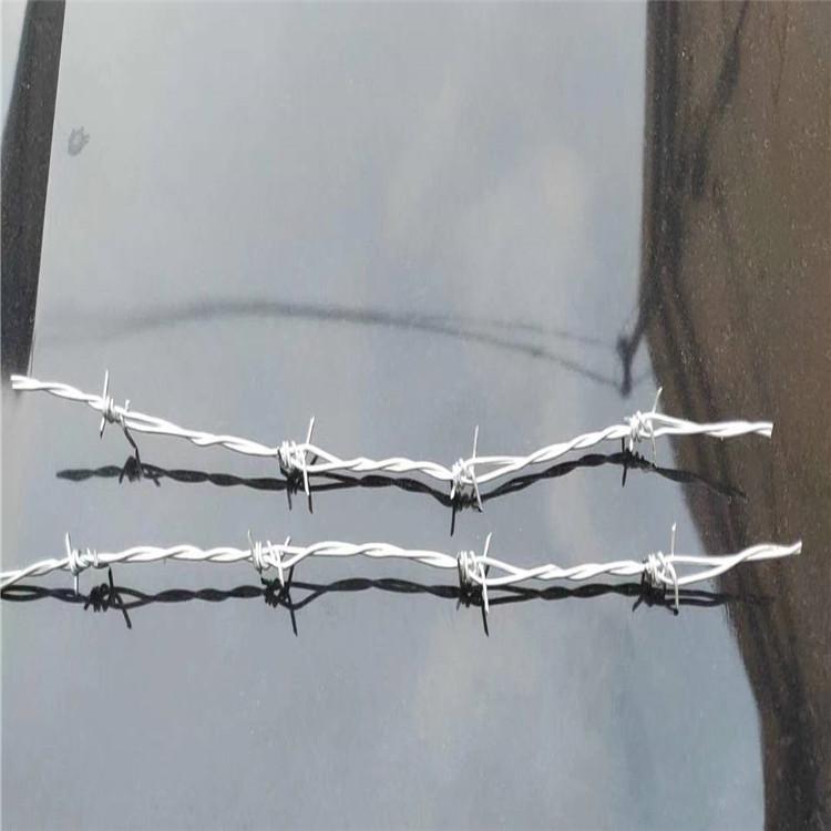 工厂供应 机场监狱防攀爬围墙刺绳 可定制 飞腾刺绳