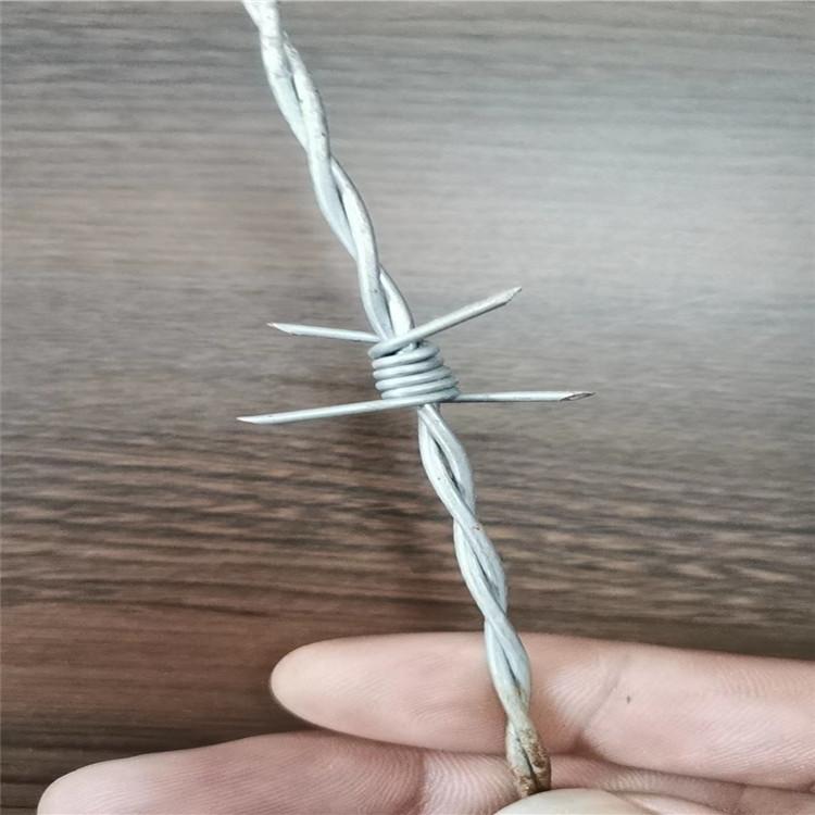 工厂供应 铁藤棘隔离防攀爬围墙刺绳 可定制 飞腾刺绳