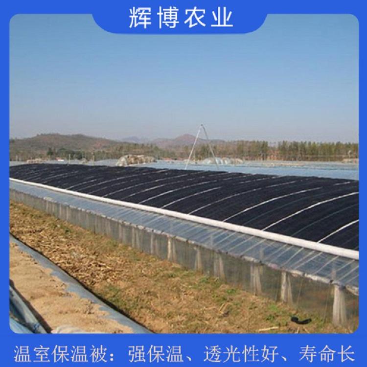 山东蔬菜大棚保温被价格价格优惠