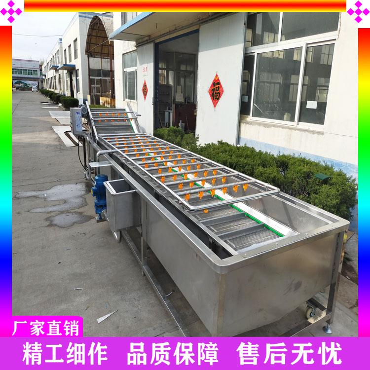 小油菜无损伤去泥去杂清洗机 菜花清洗机厂家直销 黑枸杞清洗烘干流水线 娃娃菜气泡清洗机