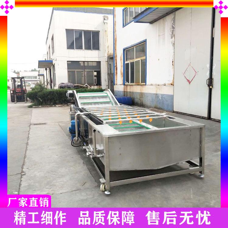 全自动油菜生菜蔬菜清洗机  喷淋式洗菠菜洗大葱清洗机 臭氧气泡清洗机生产厂家